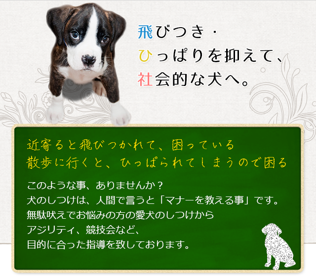 トップページ 犬のしつけ、家庭犬訓練、災害救助犬なら愛知県長久手市にある【東海警察犬訓練所】へ