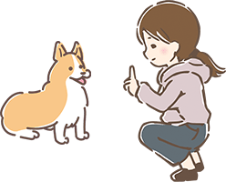 犬と飼い主のイラスト,まてを教える様子