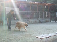 臭気選別